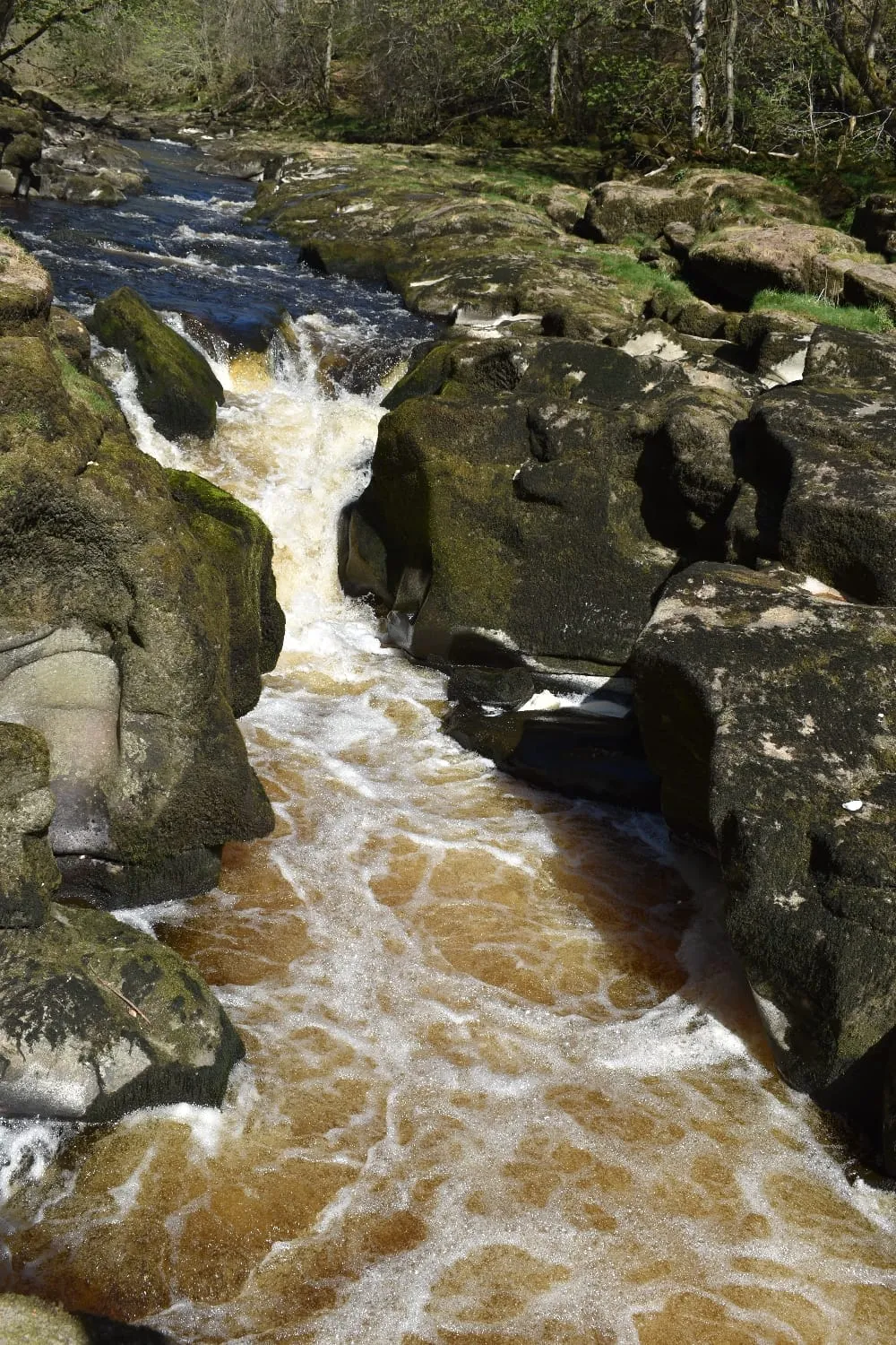 Bolton Abbey walk (4)
