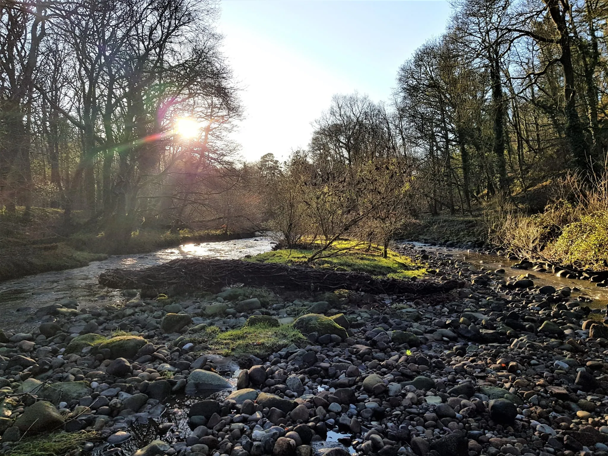 Brock Bottom