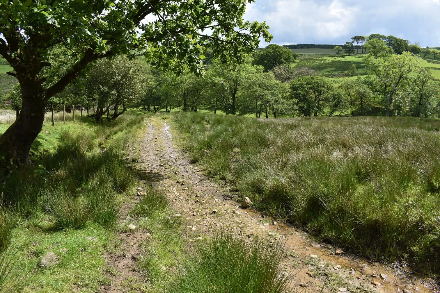 Littledale (6)