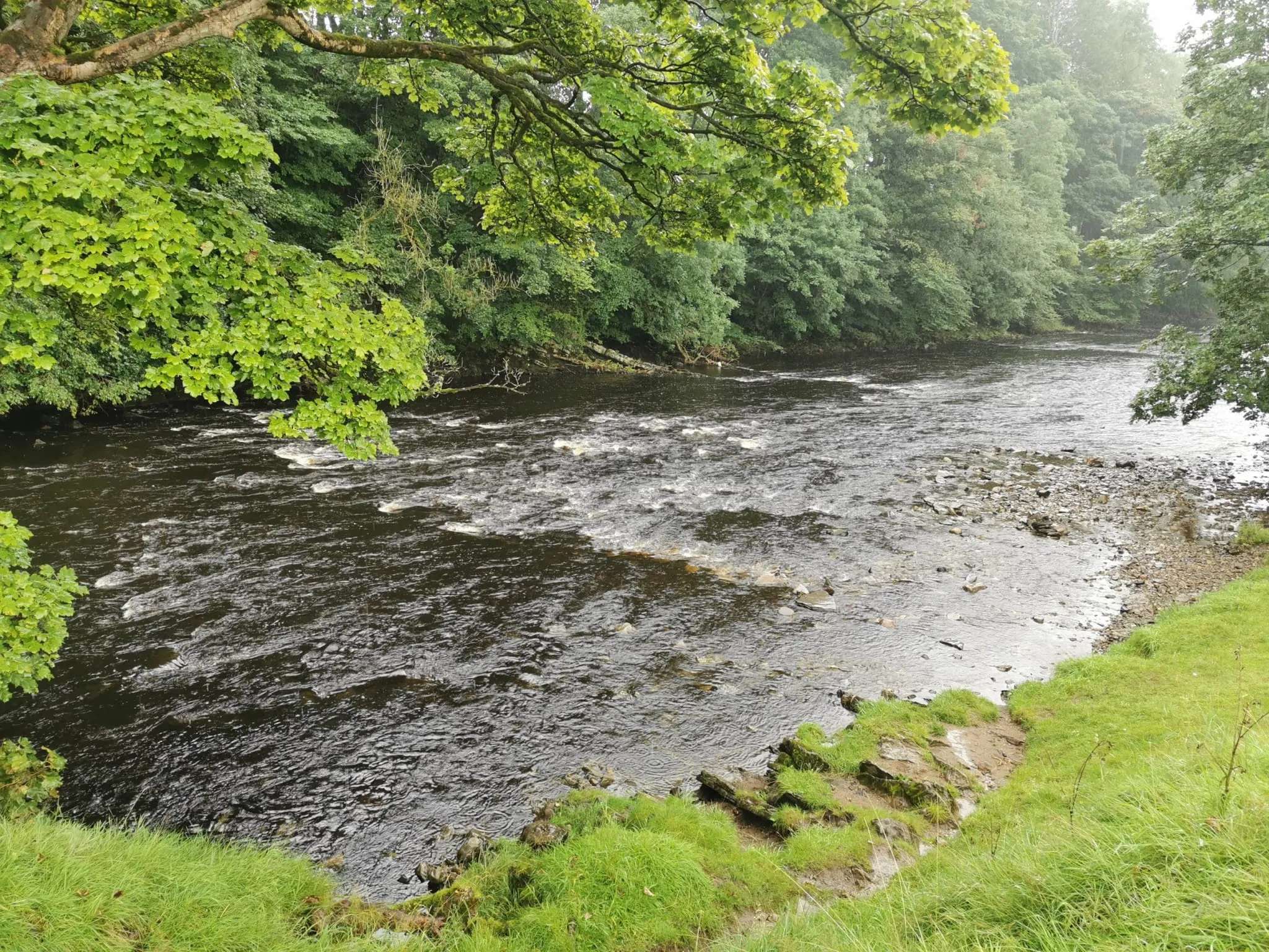 River Hodder walk (16)