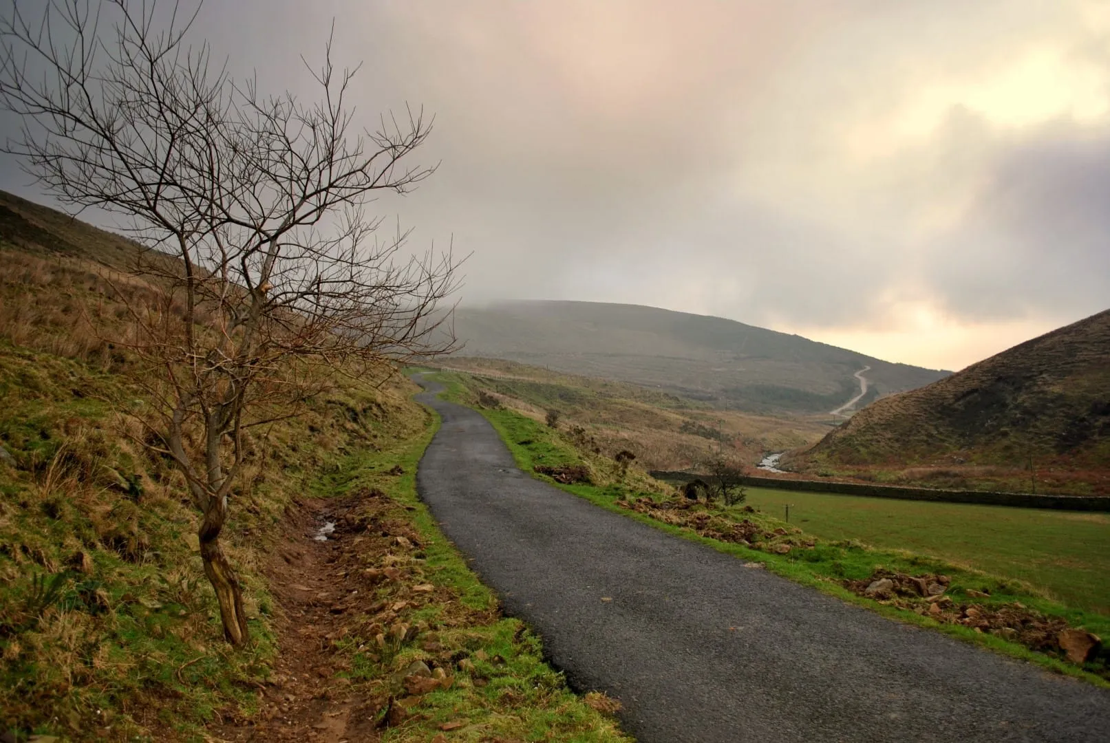 Whin Fell, Forest of Bowland (16)